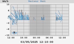 Wind Vector