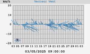 Wind Vector