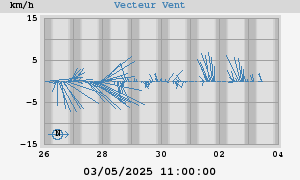 Wind Vector