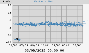 Wind Vector